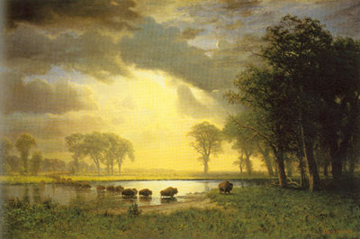 Albert Bierstadt El camino de Buffalo reproduccione de cuadro