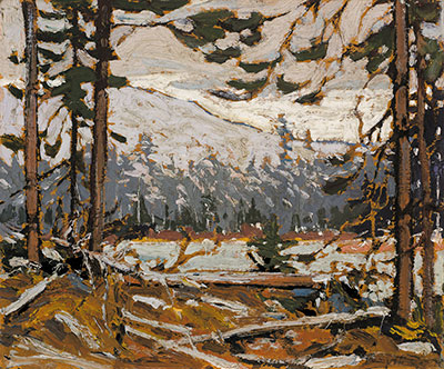 Tom Thomson Interior Woodland, Parque Algonquin reproduccione de cuadro