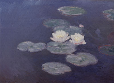 Water Lilies, Evening Effect