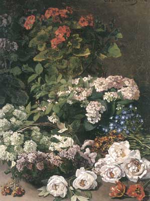 Spring Flowers