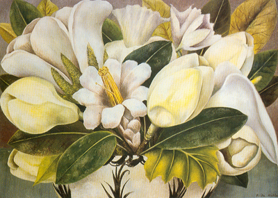 Magnolias